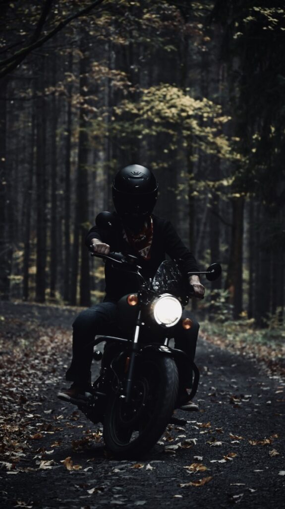 Tour Norway On A Motorcycle Start Near Oslo